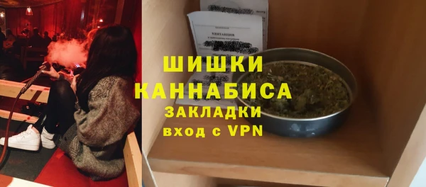 мдпв Новодвинск