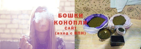 бошки Аркадак