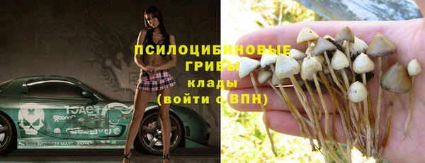 ECSTASY Новокубанск