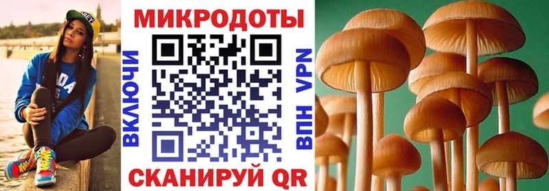Галлюциногенные грибы Psilocybine cubensis  купить наркотики сайты  Лянтор 